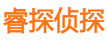 共和市调查公司